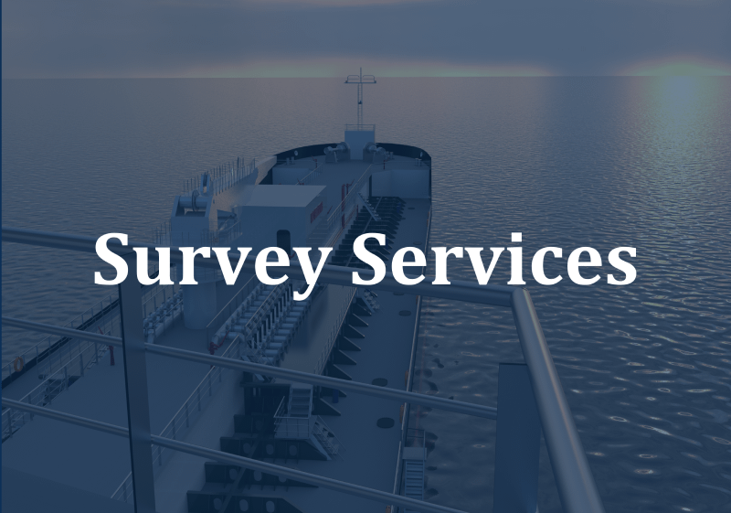 Survey Services (1)